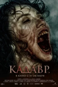 <!--base64:S2HQtGHQsnA=-->